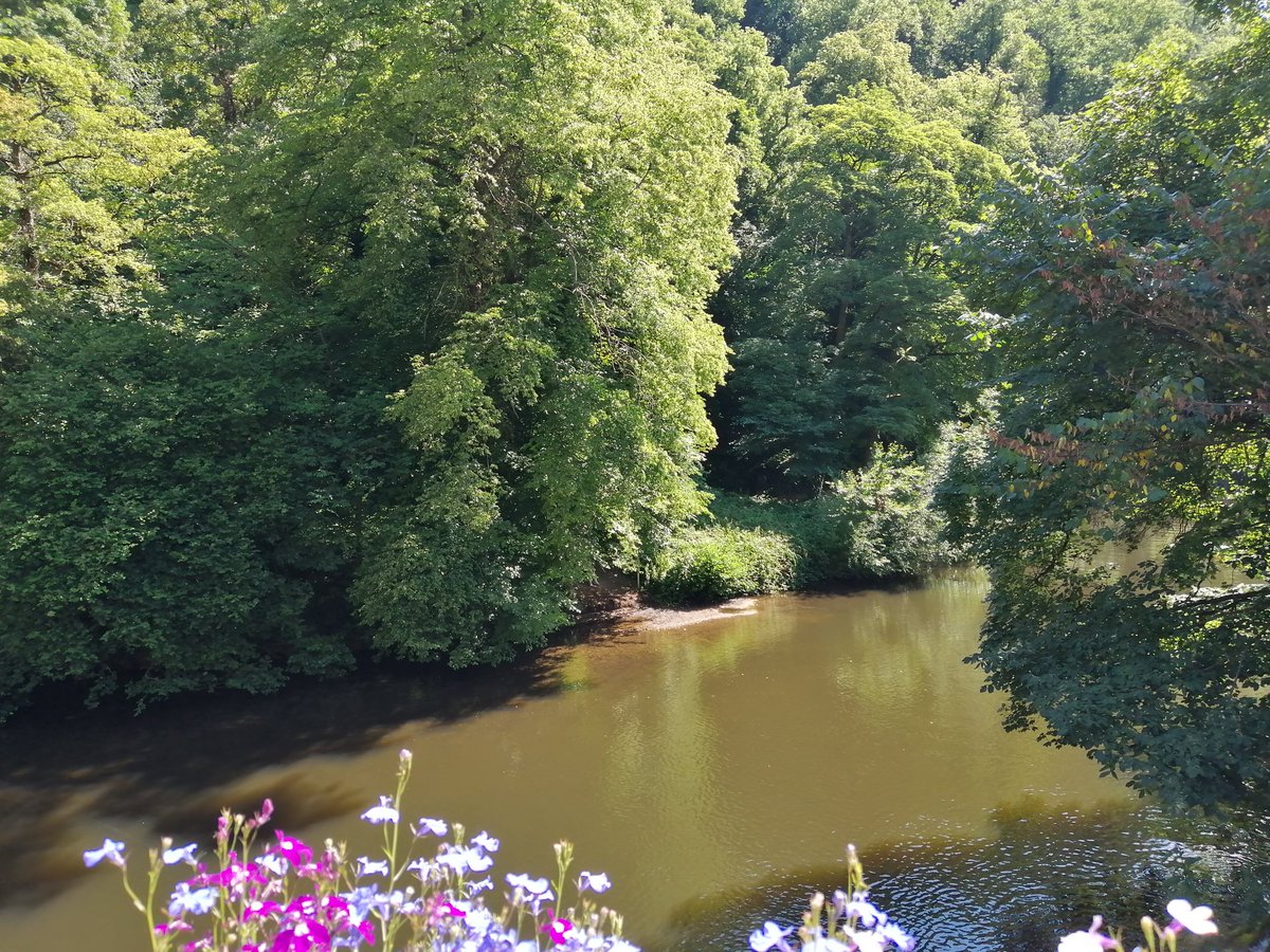 VEdiele45424's tweet photo. Beautiful Matlock Bath 💜 https://t.co/WOS25SWrNv
