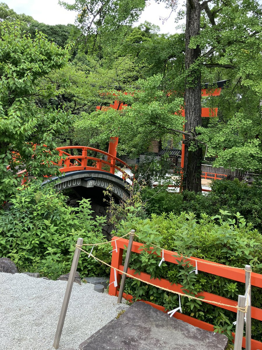 ika_TC's tweet photo. 京都お礼参り旅行の初日おわり。
レンタサイクルで東寺→北野天満宮→晴明神社→白峯神宮→下鴨神社→上賀茂神社に参拝した。
電動自転車のバッテリーちょうど空になった。 https://t.co/7VUbBHbXWO