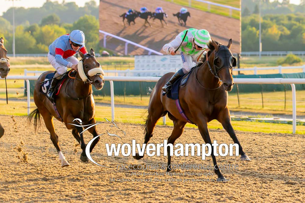 Wolverhampton Races tweet media