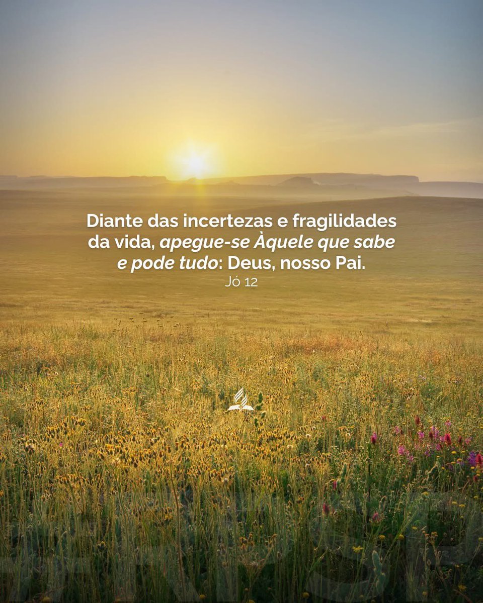 amazonasroraima's tweet photo. Quando tudo parece incerto, Deus continua sendo o nosso lugar seguro.

#RPSP #PrimeiroDeus #beasil https://t.co/hEG7O6YXxV