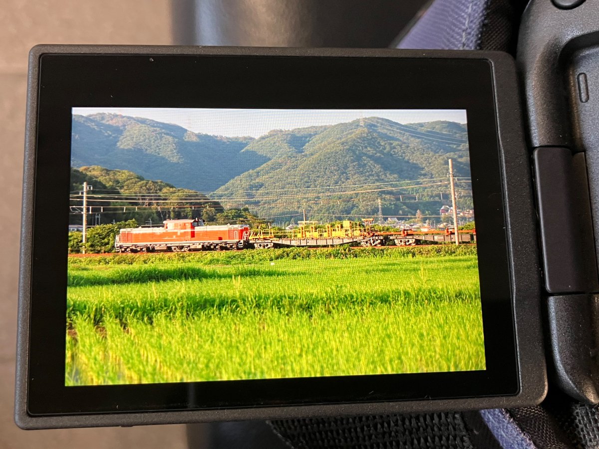 Rabbit_D06's tweet photo. 今日のメインはこれ
狙い通り午後から晴れてきて1か所目はいい感じ
最初の予定にはなかったけど追いかけて2か所目に行ってみたらギリギリ立ち位置に間に合わなかった
時間の読みが甘かった
光線が完璧だっただけにかなり悔しい https://t.co/a6ouoozFuH