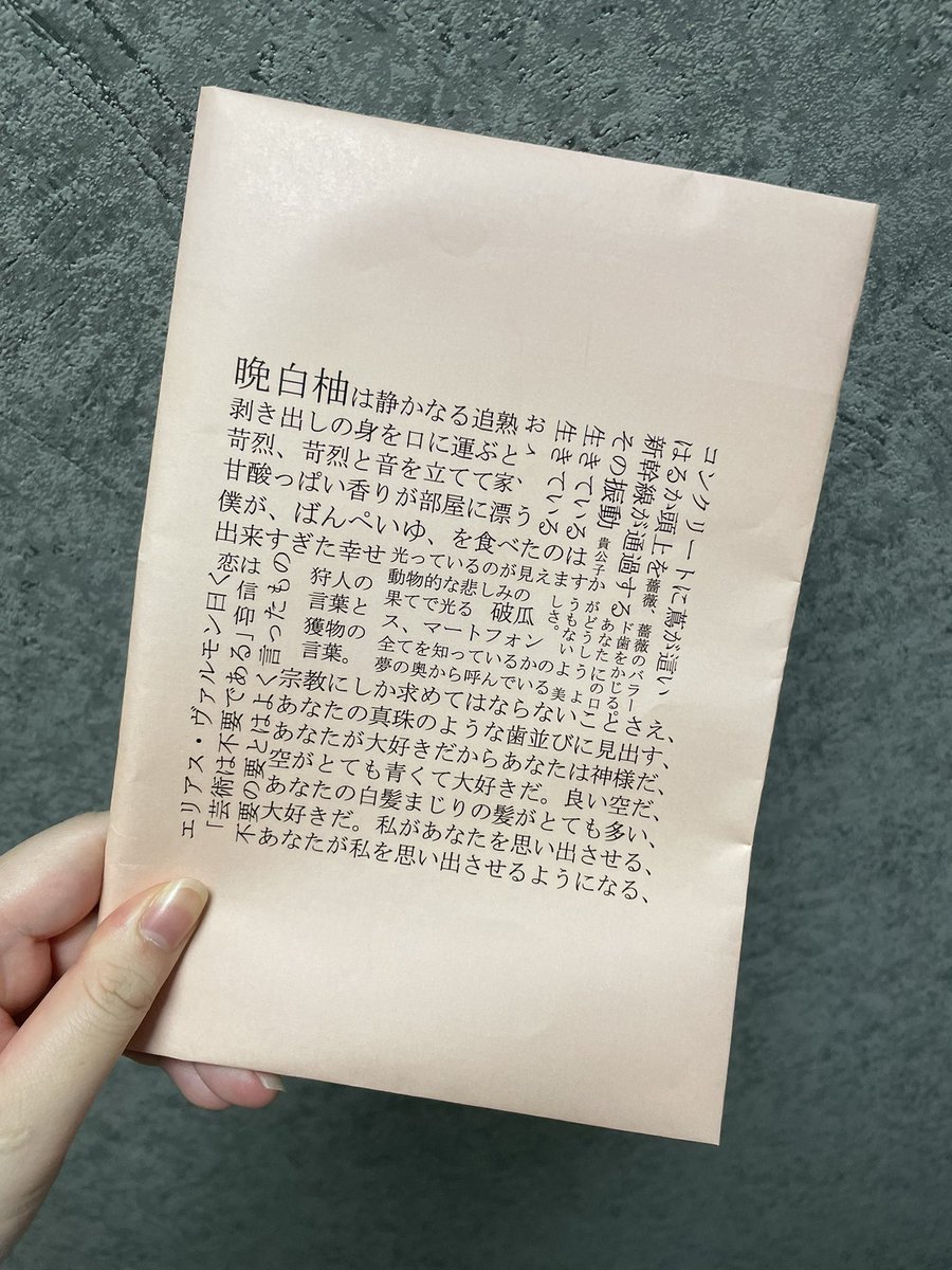 yodai_2000's tweet photo. まだ文フリに出店できるかわからないのに、zineにかけるカバーを作ってしまった。 https://t.co/jNv4p9RROi