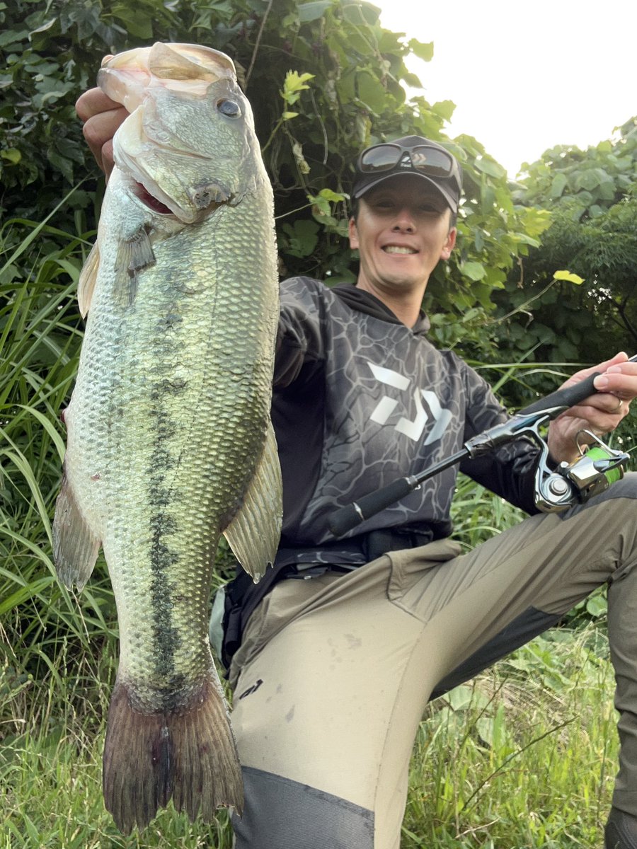 katsuya_sasaki's tweet photo. 本日の霞ヶ浦水系はチョイ投げで50up🔥サイト練したくて魚見えそうな流入河川の上流で😃サイトの引き出しもっと増やしたいので引き続き練習‼️
この時季に限らずですが、メジャーはしっかりと濡らしてから測りましょうね🫡足場高いところではランディングネットにメジャー入れて濡らすのがオススメです！