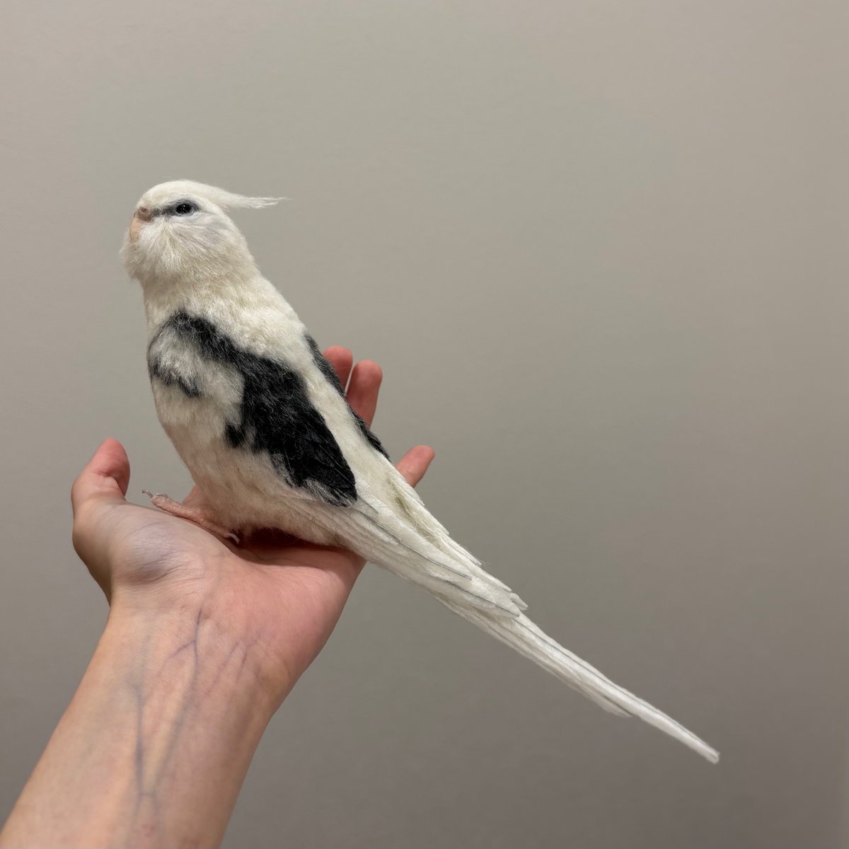 羊毛フェルト　オカメインコ 羊毛フェルトのオカメインコ完成しました。