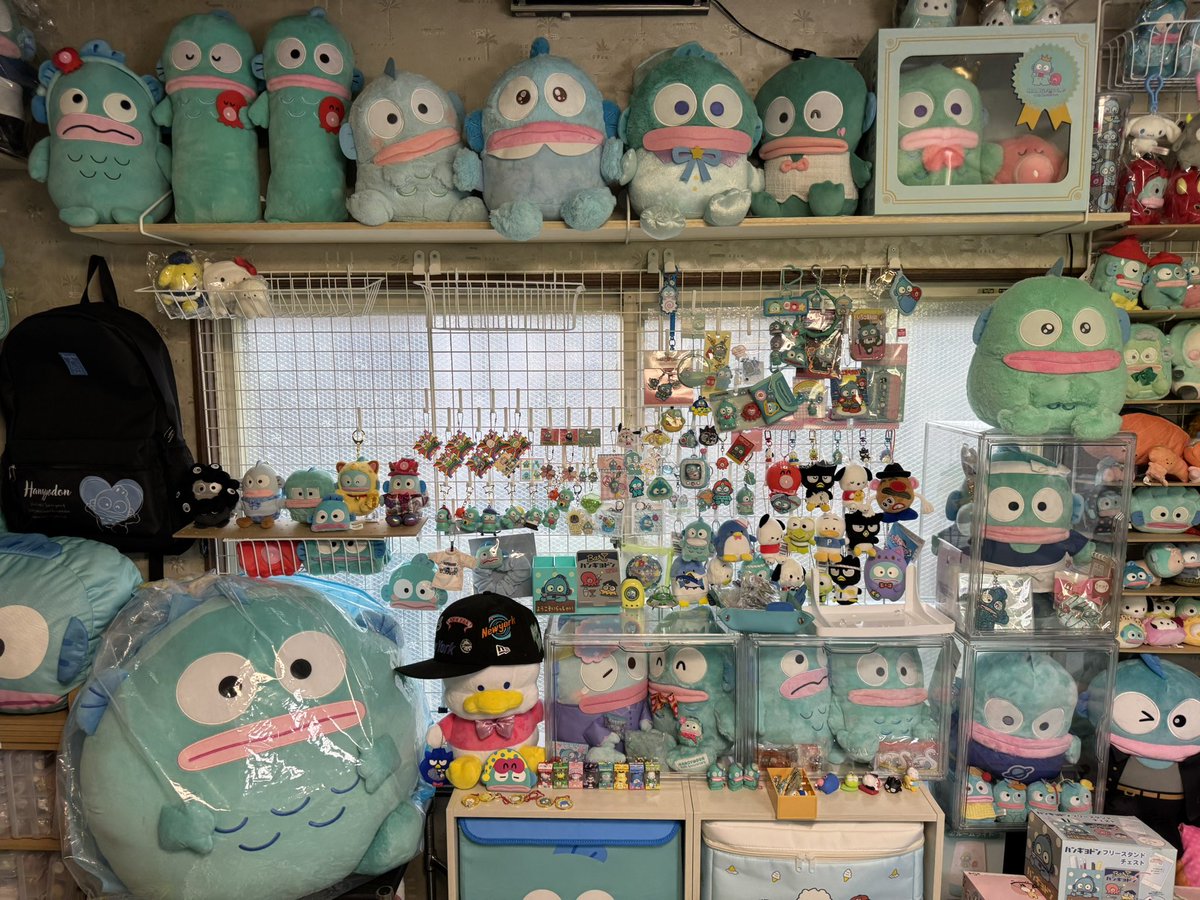 hager_u's tweet photo. 少しずつ更新されてます😊
#ハンギョドン部屋 https://t.co/9XP8sxmXG0