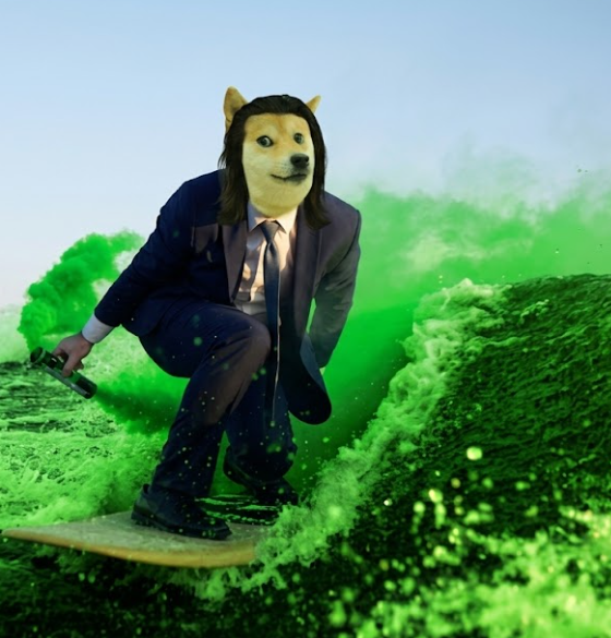 VladDogMeme's tweet photo. $VladDog rides the waves on Robinhood Chain https://t.co/PY9W4SPp61