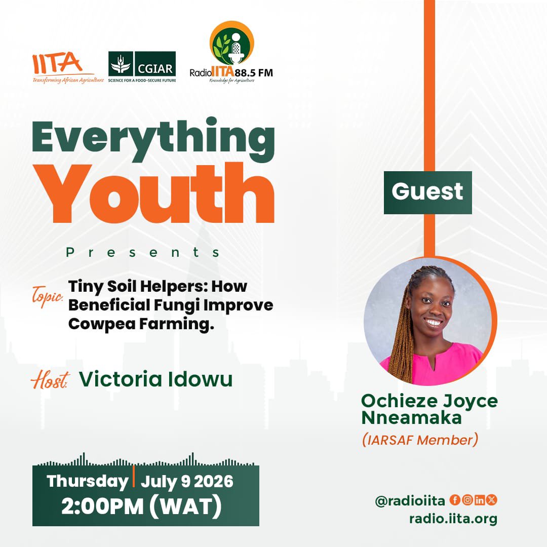 iarsaf_iita's tweet photo. Join Everything Youth On Radio IITA 88.5 FM as we explore "Tiny Soil Helpers - How Beneficial Fungi Improve Cowpea Farming".

📅: Thursday, 09 July 2026
⏰: 2:00 PM (WAT)

🔗: https://t.co/yCRKHiTmk7

#IITA #IARSAF #Research #Cowpeafarming #Beneficialfungi https://t.co/kmZTiBa6IQ