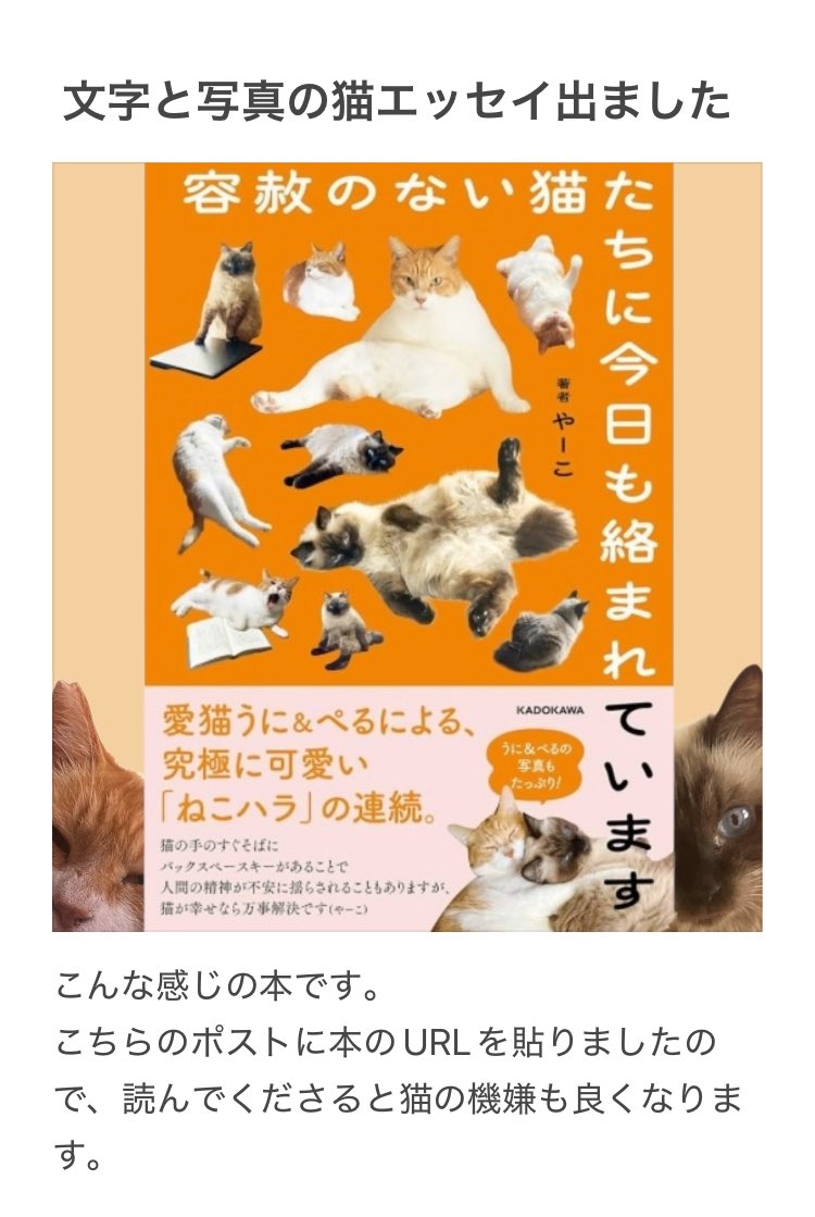 猫エッセイに収録されている話の再掲載です。 【本はこちらです