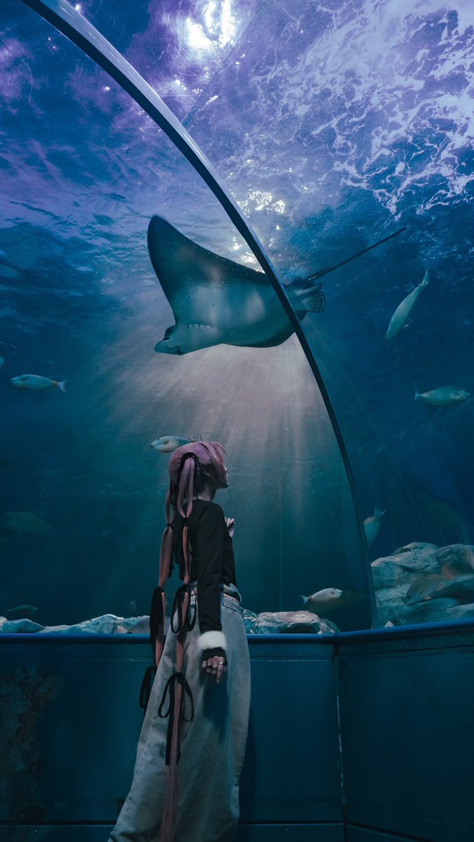 akjj__'s tweet photo. cosplay  SAKAMOTO DAYS
photo @poyo_pyyy 

#しながわ水族館 
#麗yers 
#reiyers https://t.co/nu8QCw9Ic8