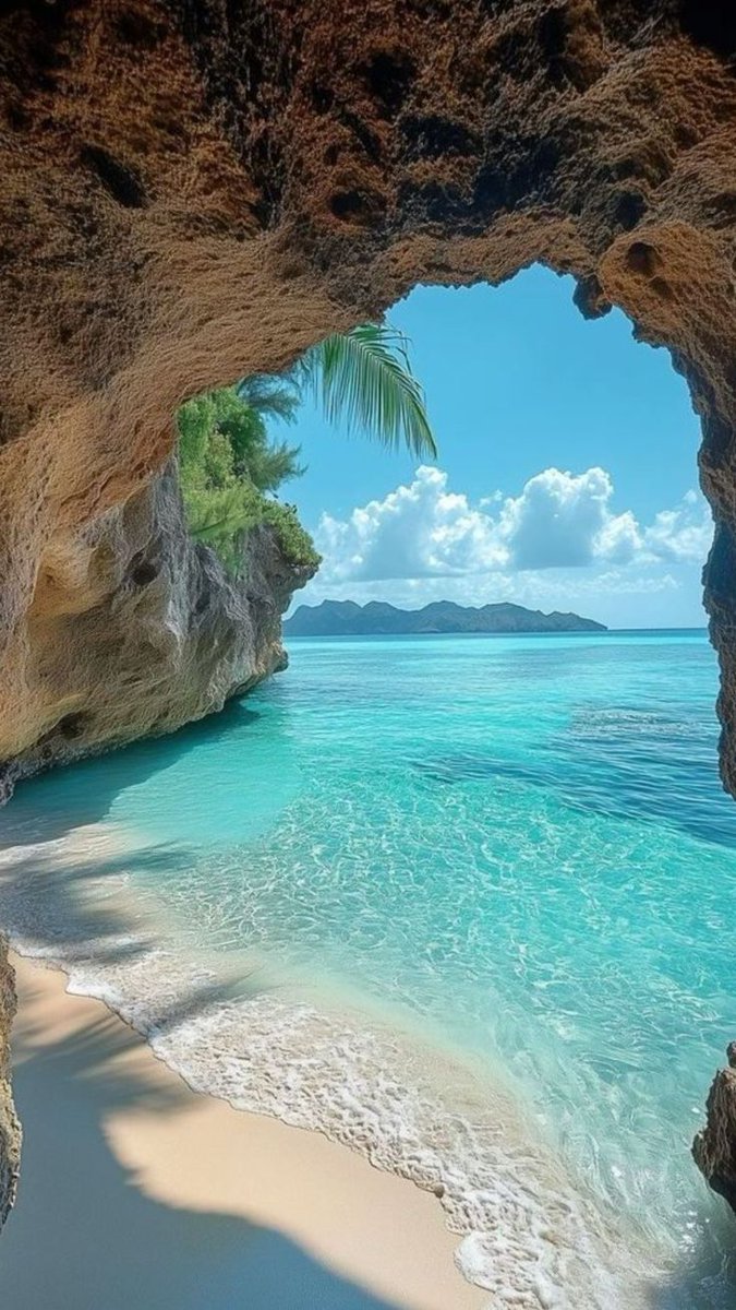LadyDeCrescent's tweet photo. De Crescent Knights spending time on the beach. Let's write about new adventures on the sea. Inspire others to write with your writing.
De Crescent prompts for 8.7.2026.-15.7.2026.
#Shell_in_the_sand
#Waves
#warm_breeze
Use #DeCrescent_prompt & @wolfstalkprey_ for RT. https://t.co/lKI2ysJiVy