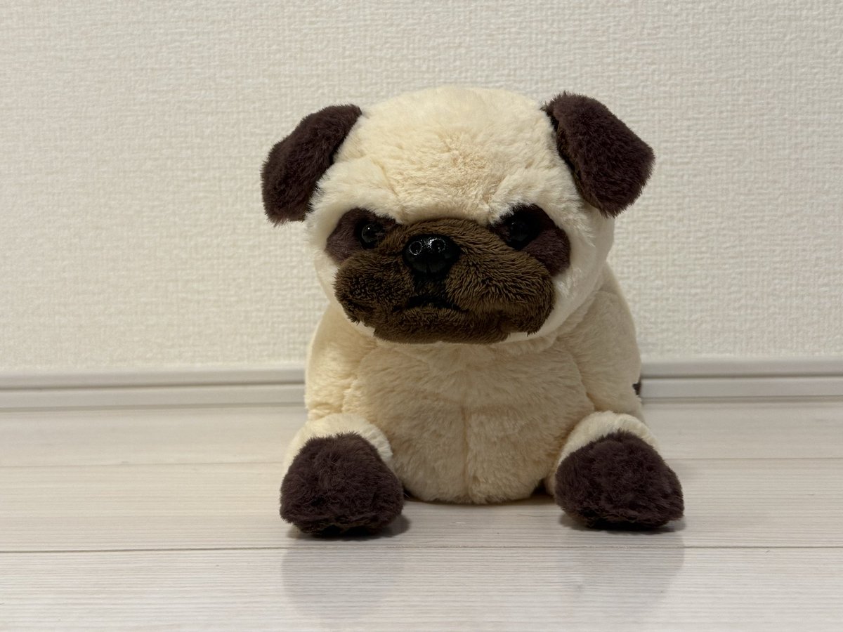 King__treasure's tweet photo. おパグ人形5000円してちょっと迷ったけど、買って良かったぜ
この凛々しい顔がきんちゃんとソックリなのが決め手です🫶 https://t.co/WNLukonssG
