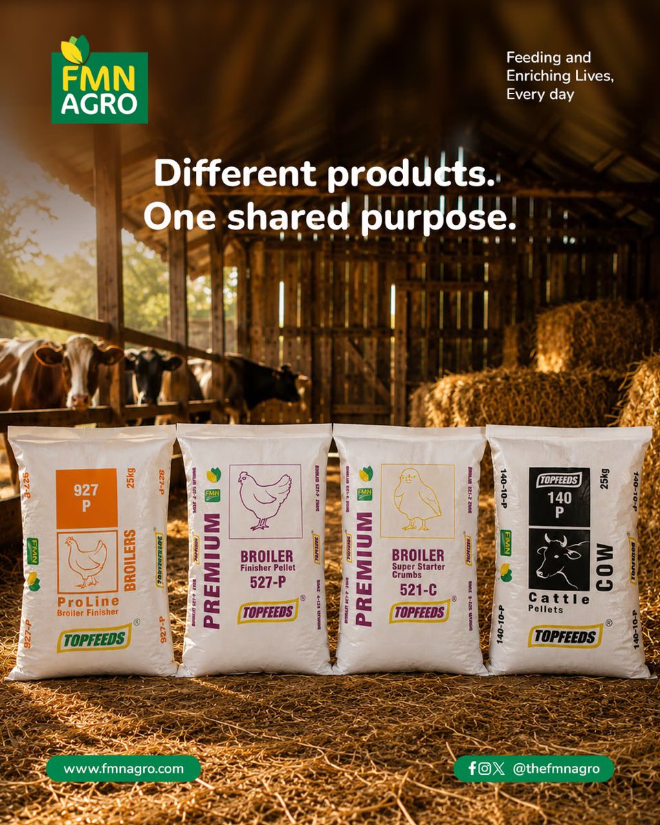 TheFMNAgro's tweet photo. Every FMN Agro product is part of something bigger — supporting farmers, strengthening food systems, and creating lasting value across the agricultural value chain.

Because when every part of agriculture works together, we build a stronger, more resilient future for all.

#FMN https://t.co/jylbuwVVFd
