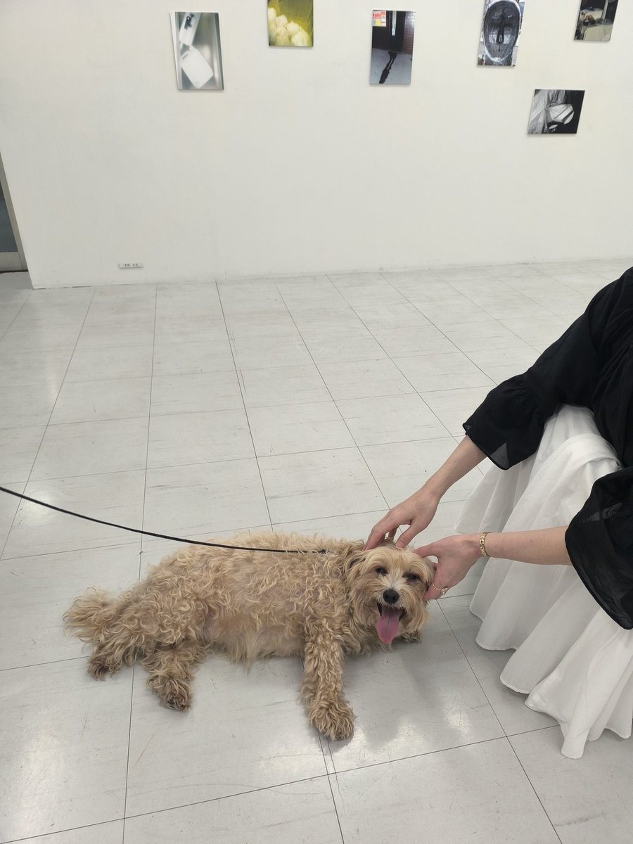 sou_ymd3a's tweet photo. 冷えた床が恋しくなるくらい暑い中でしたが、本日もお越しいただいた皆さま 誠にありがとうございました。

明日は非在廊日とさせていただいております。
 金曜日、土曜日は終日在廊予定ですので、 ぜひそちらも候補日に入れていただければ幸いです。

#それがそれ以上に #ギャラリー58 #山田荘一朗 https://t.co/Blzgjzznsv