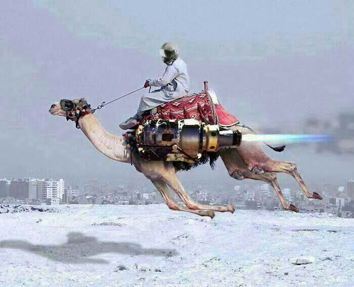 predatoutheure2's tweet photo. @isaacrrr7 IL N'y a pas de RUSSES...!!!

Ni de...Patience...!!! https://t.co/z5RSTsTUBU