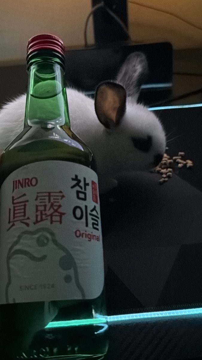 socetyhatesjay's tweet photo. i got a pet rabbit😭😭❤️, thank you @damilolafarm https://t.co/v6wWFApBBS
