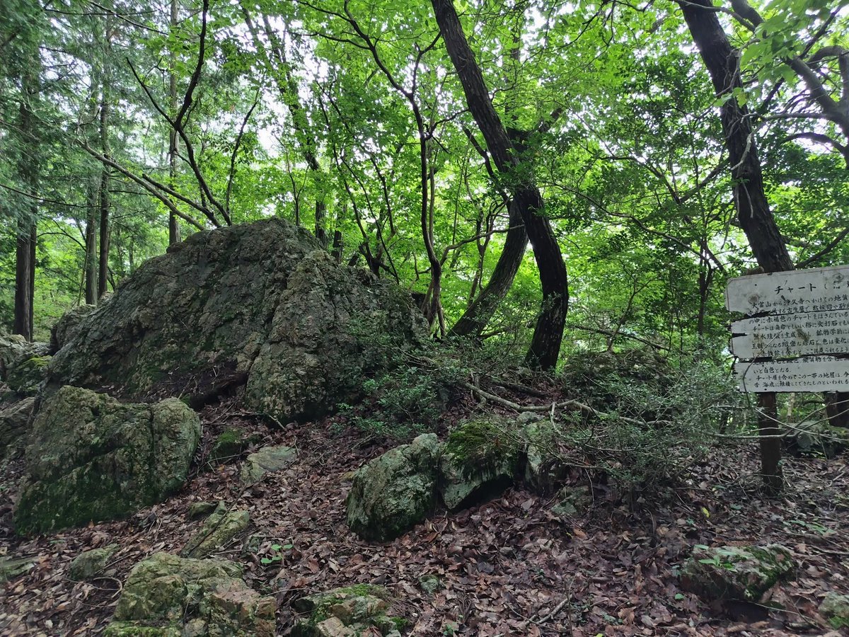kkd19682's tweet photo. 庄原市西城町にある大富山に登りました⛰️
大富山は中世に山城が造られ山陰と山陽の要所の1つとして毛利氏の勢力圏で重要な役割を果たした山です
現在は 大富山城跡緑地環境保全地域に指定されて山城の名残を残した地形を利用した登山が楽しめます
#庄原市 #備後西城 #大富山 #城趾 #山城 #登山 #大富山 https://t.co/kP49umPZTz