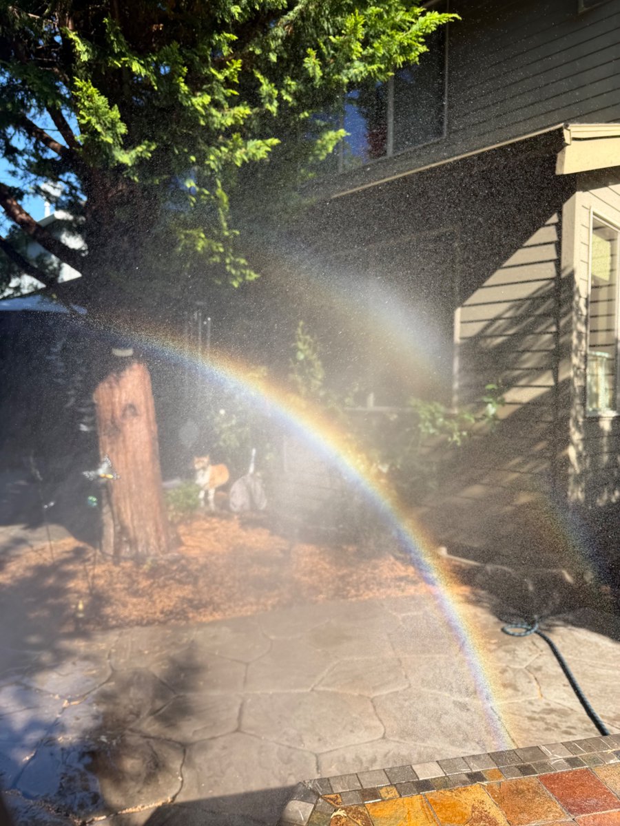 MVstarlight7's tweet photo. 2 rainbows in my backyard yesterday. https://t.co/PvUmCRZ3Yq