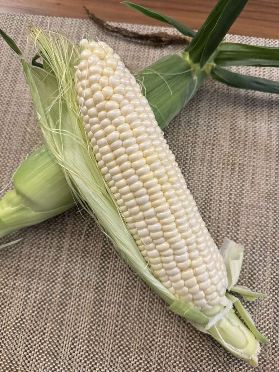 misumelo's tweet photo. 家の畑で初めてのとうもろこしを収穫(親が)🌽
白とうもろこしは茹でると甘みや旨みが溶けて出るから生のまま食べるのが良いとの事で生で挑戦!!
フルーツみたい😋こんなに美味しいんやね明日も食べよ https://t.co/cScekEgHDK