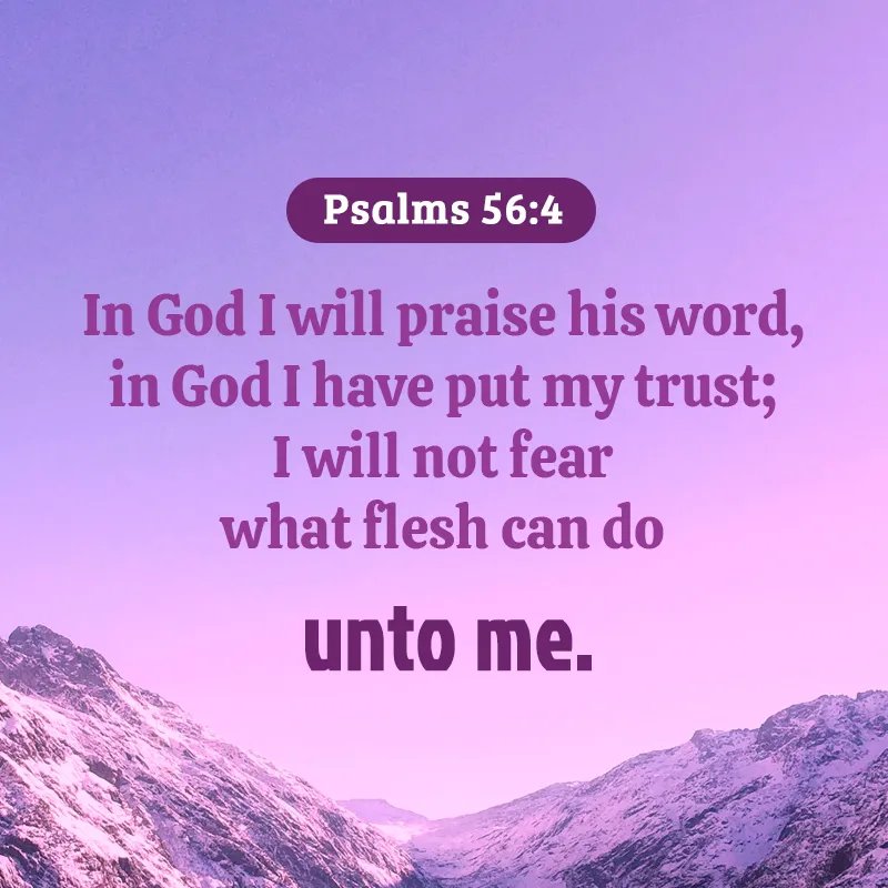 AbrahamMMason's tweet photo. @ZhardcorecC @Mia_Marie56731 @blitzy1993 https://t.co/9iqQBMxaa5