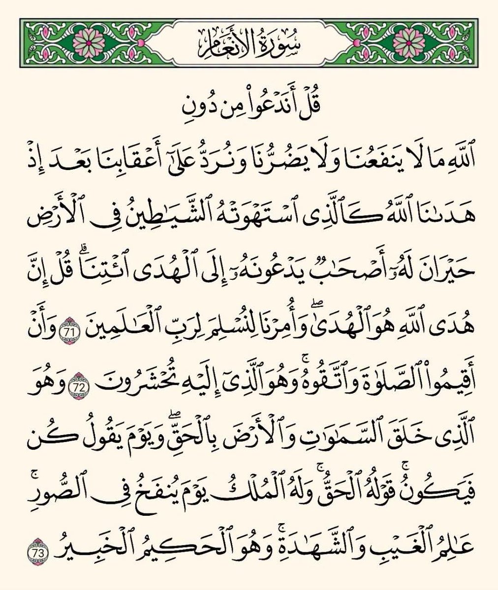 KouraIslam's tweet photo. https://t.co/0pNYCpYp53