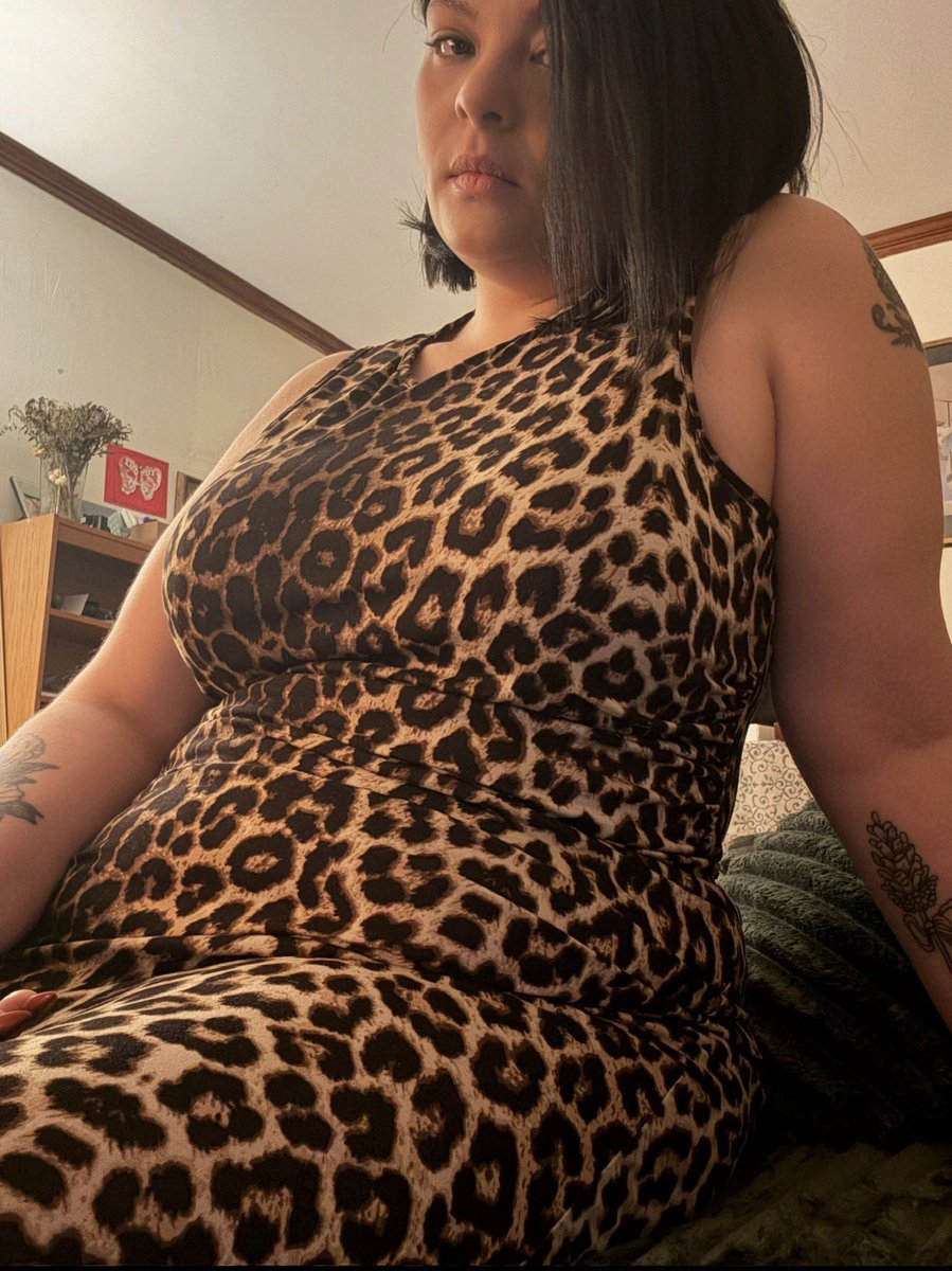 addams_cleo's tweet photo. Cat ready to pounce! https://t.co/oyyshuZ7b4