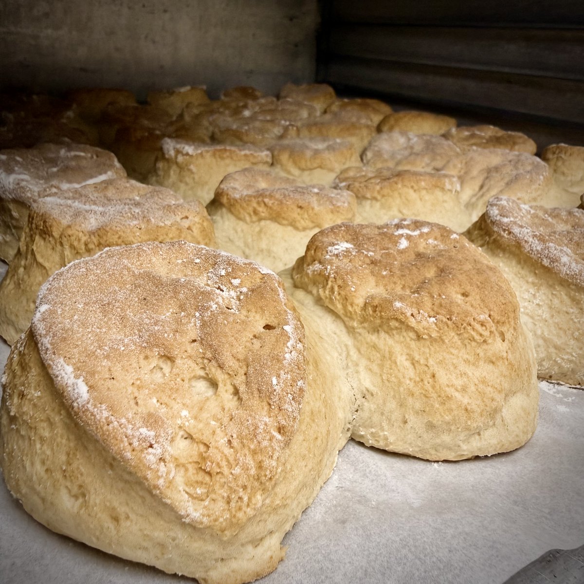 MothersNOLA's tweet photo. Wish you could smell the aroma of these biscuits. Some people call them “cat head,” because they rise so tall. Our bakers get up before dawn to mix and hand roll them for you. Mother’s has been known for serving delicious breakfasts downtown since 1938. Open 7am. https://t.co/Ce0XE54G04