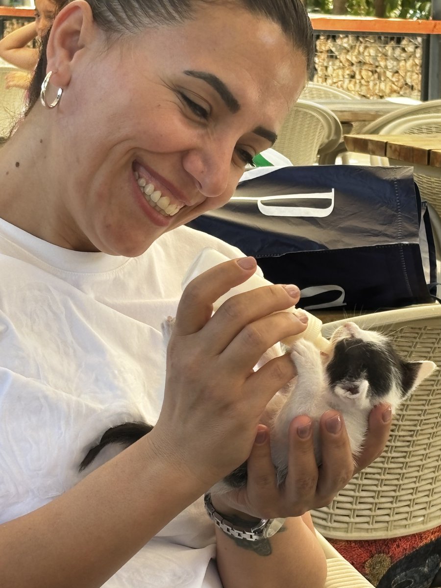 XeceOfficial's tweet photo. Mêvana me ya biçûk. 🐾 🐈 Silav û hezkirin 🌸
#xece #xecê https://t.co/bPvaSDzaSR