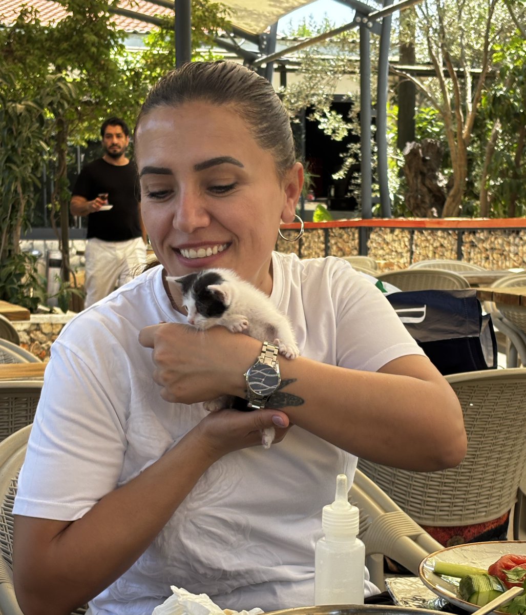XeceOfficial's tweet photo. Mêvana me ya biçûk. 🐾 🐈 Silav û hezkirin 🌸
#xece #xecê https://t.co/bPvaSDzaSR