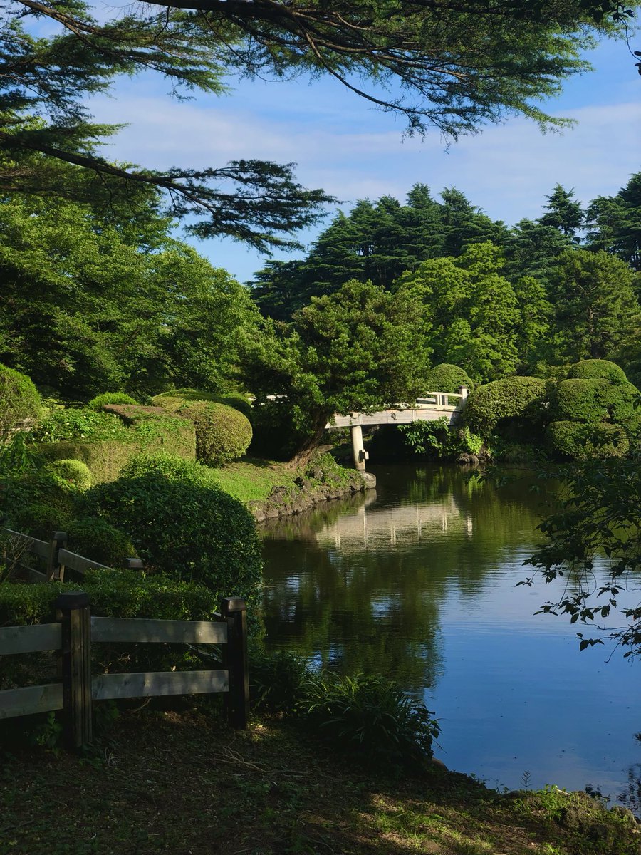 masadaonodera's tweet photo. Today at Shinjuku Gyoen 🍃 https://t.co/tMGWkhJz8A