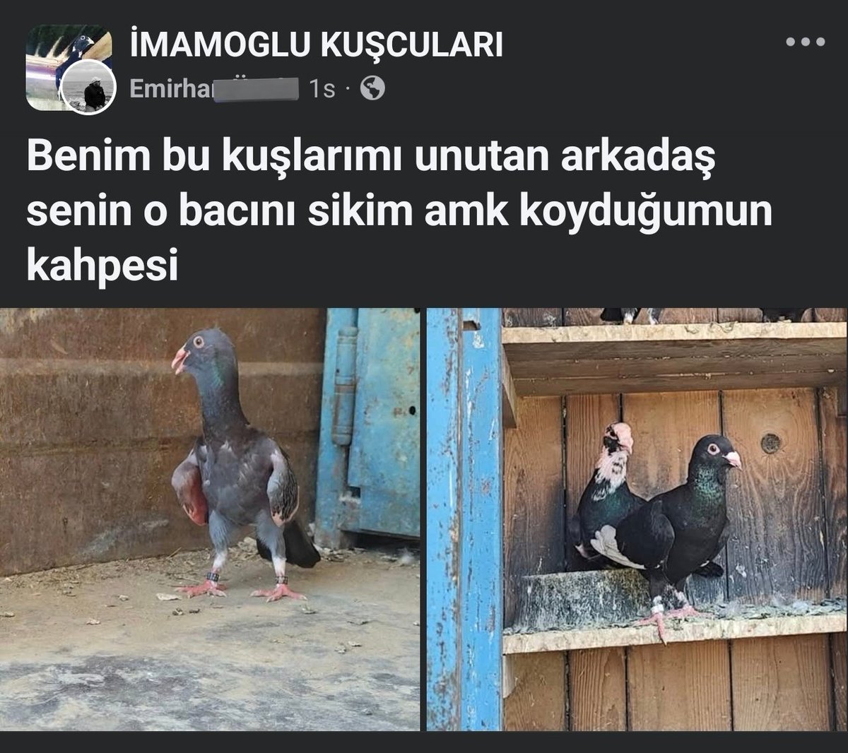 feysbukdayim's tweet photo. 🕊️ https://t.co/waIvBcmdqE