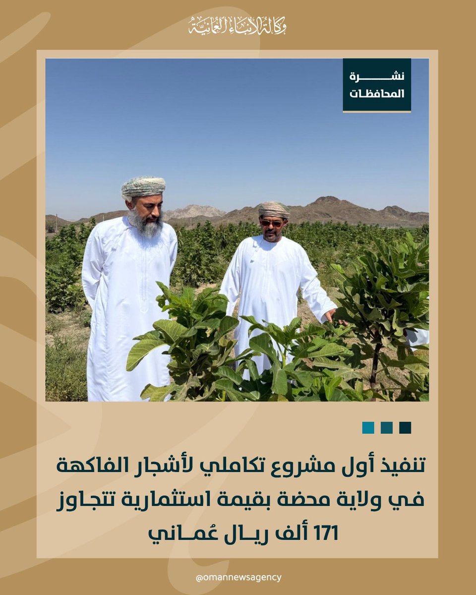 OmanNewsAgency's tweet photo. القطاع الزراعي في محافظة #البريمي يشهد تنفيذ أول مشروع استثماري تكاملي متخصص في مجال أشجار الفاكهة بمنطقة "الزروب" بولاية #محضة.

https://t.co/f7ZYvgTREl

#نشرة_المحافظات
#العُمانية https://t.co/znXeQW3Zzp