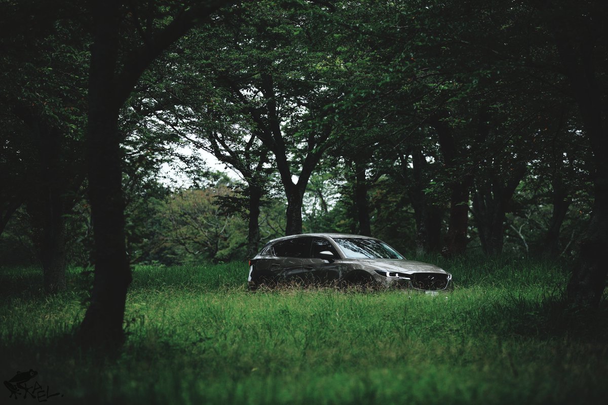 KAEL_with_cx5's tweet photo. 少しだけでもカメラ触りたくなったから草生い茂る近所の森。
全ズームレンズのフィルターをちょっと良いやつに総入れ替えしてから初めて撮ったんだけど、前より少し抜けが良くなった気がする。
#cx5 #withmazda https://t.co/5UXBW5TgHM