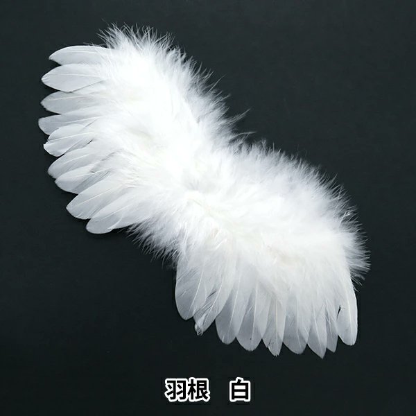 otaINF0's tweet photo. 『ぬい小物 羽』

ぬいぐるみ用の羽です。
ゴムで簡単に装着できます◎
サイズ:Lサイズ(約20cmのぬいぐるみ用)
https://t.co/weE5r6UvZE https://t.co/dRioIKOErf