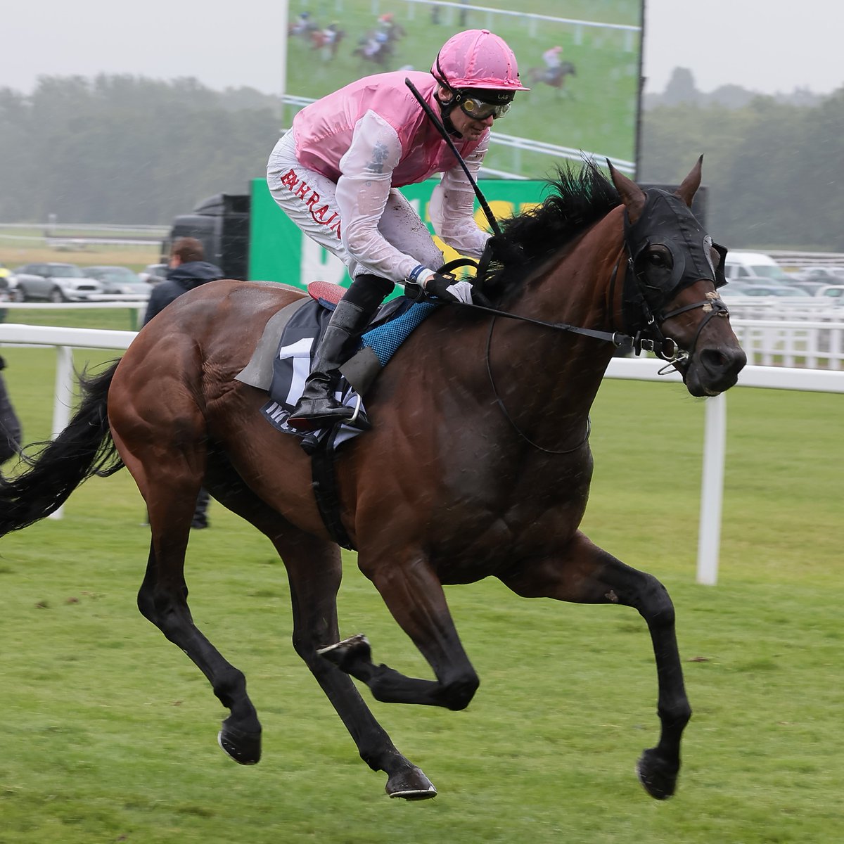 RacingPost's tweet photo. 🩷 SWEET WILLIAM 🩷

2️⃣2️⃣/2️⃣1️⃣1️⃣1️⃣2️⃣2️⃣2️⃣3️⃣/3️⃣1️⃣3️⃣2️⃣1️⃣2️⃣/3️⃣4️⃣3️⃣2️⃣1️⃣2️⃣-1️⃣2️⃣3️⃣

🏆🏆 Doncaster Cup Stakes (Group 2)
🏆 Sagaro Stakes (Group 3)
🏆 Henry II Stakes (Group 3)
🥈🥈 British Champions Long Distance Cup (Group 1)
🥈 Goodwood Cup Stakes (Group 1)
🥈 Doncaster Cup Stakes (Group 2)
🥈 Lonsdale Cup Stakes (Group 2)
🥈 Ebor Handicap
🥉🥉 Royal Ascot Gold Cup (Group 1)
🥉 Goodwood Cup Stakes (Group 1)
🥉 British Champions Long Distance Cup (Group 1)
🥉 Yorkshire Cup Stakes (Group 2)
🥉 Sagaro Stakes (Group 3)

Pure consistency.