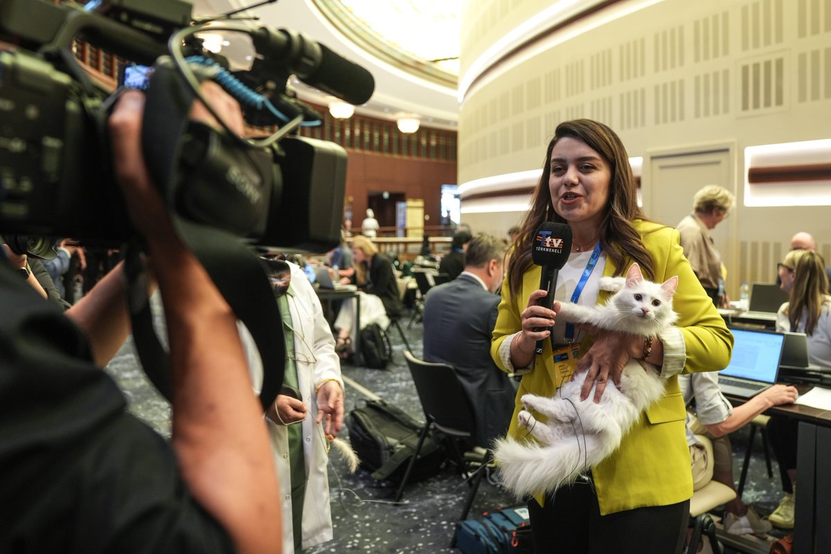 gztcom's tweet photo. 🐱NATO basını, Cumhurbaşkanlığı Külliyesi'nin meşhur Ankara kedileri "Lokum" ve yavrusu "Ak Kız" ile karşılaştı 😻

📌Sevimli dostlar, gazetecilerin ilgi odağı oldu

#NATOsummit https://t.co/nIaWPjc7KL