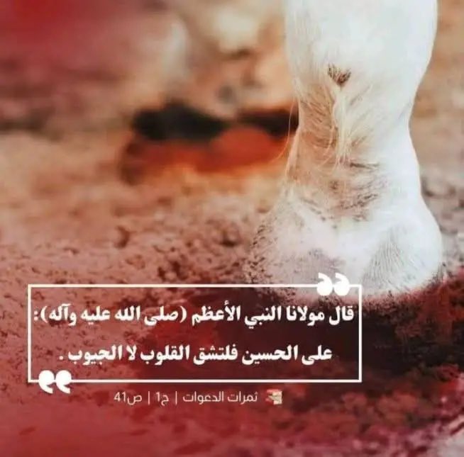 Alijak10's tweet photo. 🏴*قال مَولآنا النبيّ الأعظم صلى اللّٰه عليه وآله وسلّم*
*علىٰ الحُسين فلتُشق القلوب لآ الجيوب*
*يا حُسين 💔*
ثمرات الدعوات_ج١_ص٤١

🏴❣️*أهل الجزع*❣️🏴

هنيئاً لمن يواسي إمام زَمانِه الحُجة إبن الحَسن بمصاب جدِّه الحُسين ، صلواتُ اللّٰهِ عليهما 

🏴*✵ يقولُ الصَّادقُ الأطهرُ*"عليهِ أفضل الصلاة والسًلآم " : 
*يا مَسْمَع !.. أنتَ مِن أهل العراق ، أما تأتي قبْرَ الحُسين*؟.. قلتُ :
لآ !! ، أنا رجُلٌ مَشهورٌ من أهْل البصرة ، وعندنا من يتبَعُ هوى هذا الخليفة ،
وأعداؤنا كثيرةٌ من أهل القبائل مِن النُّصّاب وغيرهم ، ولستُ آمَنُهُم أنْ يَرفعوا عليَّ حالي عند وُلدِ سُليمان فيُمثّلون عليّ .
قال لي :
*أفمآ تَذكر مآ صُنِعَ به*؟.. قلتُ : بلى ، 
قالَ : *فَتَجزع*؟.. 
قلتُ : إي واللّٰه !.. وأستعبِرُ لذلك ، حتَّى يرى أهليَ أثَرَ ذلكَ عليّ ، فأمْتَنِعُ من الطَّعام حتَّى يستبينَ ذلكَ في وجهي ، 
قال : *رحِمَ اللّٰهُ دمعتكَ !.. أمآ إنّكَ مِن الَّذين يُعَدُّون في أهْلِ الجَزَع لنا والَّذينَ يفرحون لفرحنا ، ويحزنون لحُزننا ، ويخافون لخوفنا ، ويأمَنُوْنَ إذآ أمِنّا*...
- إلى أنْ قال صلواتُ اللّٰهِ عليه -
😭 *ومآ بَكىٰ أحدٌ رحمةً لنا ولِمَا لقِيْنا ، إلآ رَحِمَهُ اللّٰه قبلَ أنْ تخرُجَ الدَّمعة مِنْ عينِه ، فإذآ سالَت دُموعهُ على خدِّه ، فلوّ أنّ قطرةً من دمُوعهِ سَقَطَتْ في جهنّم ، لأطفَأَتْ حرّها حتَّى لآ يُوجَدَ لها حَرّ*.
💔 *وإنَّ المُوجِعَ قَلبَهُ لنا لَيَفْرَحُ يومَ يَرانا عِندَ موتِه ، فَرحَةً لآ تزالُ تلكَ الفَرحَة في قلبهِ حتى يَرِدَ عليْنا الحوض ، وإنَّ الكوثر لَيَفْرَحُ بمُحِبِّنا إذآ وَرَدَ عليه ، حتَّى أنّه لَيُذيقه مِن ضُروب الطَّعام مآ لآ يشتهي أنْ يصْدُرَ عنه .*
📚( كامل الزيارات )

🏴🌟 *عَزيزٌ عَلَيَّ أَنْ تُحيطَ بِكَ دُونِيَ الْبَلْوى وَلآ يَنالُكَ مِنّي ضَجيجٌ وَلآ شَكْوىٰ*

🏴💔 *اللهم عجِّل لوليِّكَ الفَرَج اللهم عجِّل لوليِّكَ الفَرَج اللهم عجِّل لوليِّكَ الفَرَج وانصر ناصريه واخذِل خاذِليه* 🤲