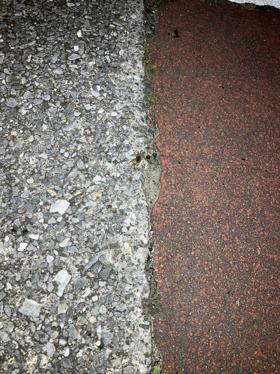 unifirehuman's tweet photo. 散歩してたら川の近くにカニ🦀見つけた！

都会のど真ん中にもいるんだなぁ https://t.co/o8vGzQ0R0z
