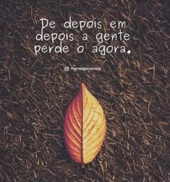 manuelkobel's tweet photo. BOM DIA A TODOS! https://t.co/dj75RySsaZ