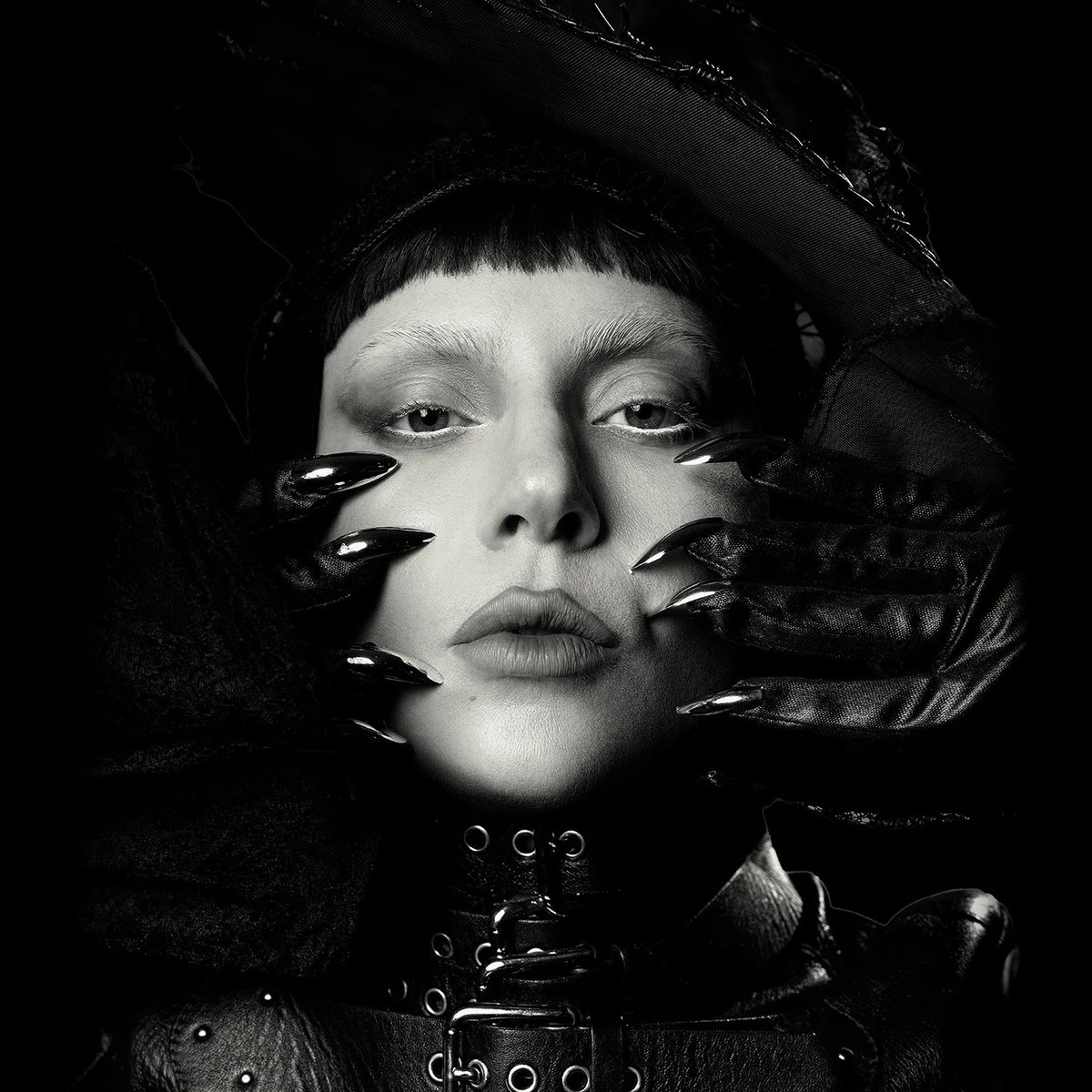 gagadaily tweet picture