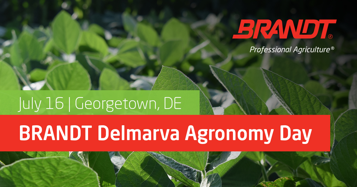 BRANDT_co's tweet photo. Just one week until the 2026 BRANDT Delmarva Agronomy Day!

Join us Thursday, July 16, at the Carvel Research & Education Center in Georgetown, DE to review current field trials, product performance, and crop response under Delmarva growing conditions.

RSVP here: https://t.co/w98Phk9Cx9