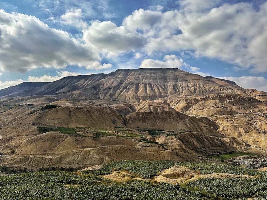 GilbertoIv9f's tweet photo. الحياة تصبح أجمل عندما الهدوء في العلاقة يحمي ابتسامة. كل elouise salzman💻 https://t.co/gR6PAVg8W3