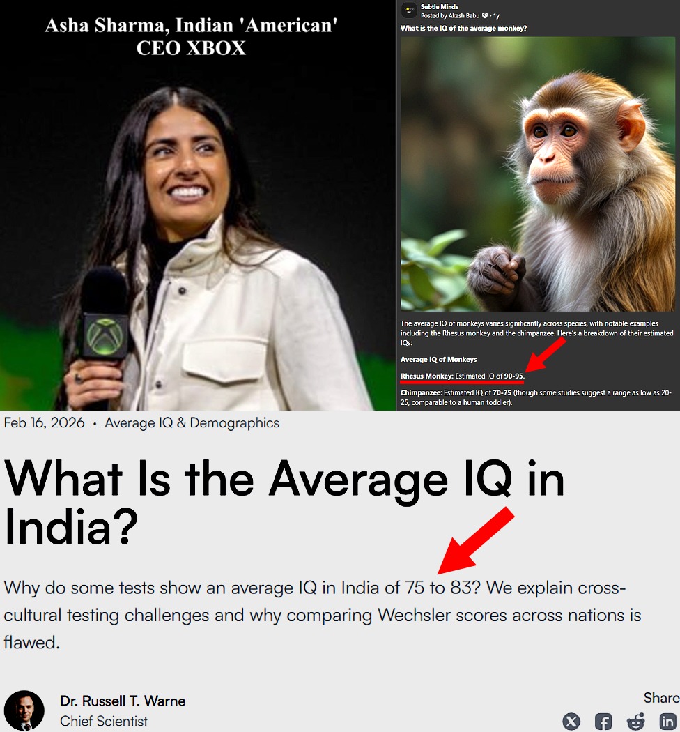 iontecs_pemf's tweet photo. @radleftreceipts Because IQ isn't printed on their forehead, we assume they have human level intellect, when nothing could be further from the truth. You are allowing the 3rd world who never did ANYTHING to take over the greatest country on earth. To save a dollar.
https://t.co/KrVcylubvK https://t.co/EP9ux6HOrs