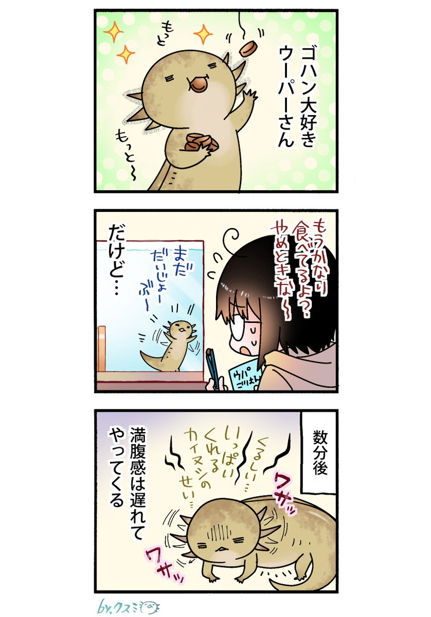 upadayori's tweet photo. 【ウパだより】
これはウーパーもニンゲンも同じかもしれない…？∋(・Ａ・)∈ https://t.co/B59Bc09R87