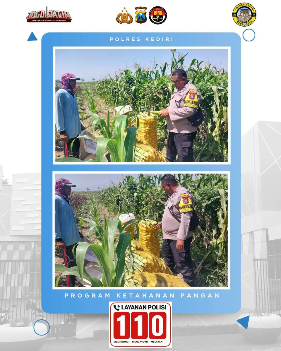 Kepung88's tweet photo. Bhabinkamtibmas Desa Keling Polsek Kepung Polres Kediri Aipda Tri Setyo N. melaksanakan  pendampingan kelompok tani jagung dalam Program Ketahanan Pangan Desa Keling Kecamatan Kepung dalam mendukung Program Ketahanan Pangan. https://t.co/Fz7Hf5j7l8