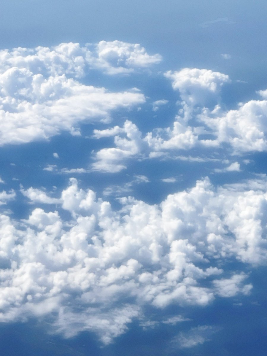 uubebear's tweet photo. ☁️ ⊹ ࣪ ˖ https://t.co/grSNrfJpHW
