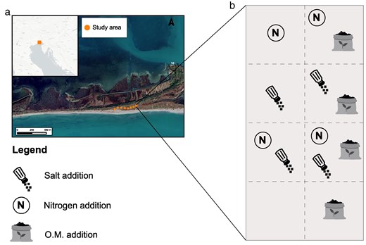 JPlantEcol's tweet photo. Giacomo Trotta et al. investigated the cascading effects of soil stress, plant growth, and the functional traits of the key species #CakileMaritima, on the alien and native plant community.
#BiologicalInvasion | #CoastalDunes | #FunctionalTraits
https://t.co/bMSkeZVrft https://t.co/RnYMqVGfaY