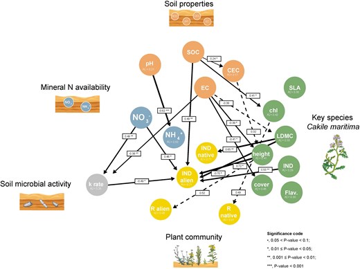 JPlantEcol's tweet photo. Giacomo Trotta et al. investigated the cascading effects of soil stress, plant growth, and the functional traits of the key species #CakileMaritima, on the alien and native plant community.
#BiologicalInvasion | #CoastalDunes | #FunctionalTraits
https://t.co/bMSkeZVrft https://t.co/RnYMqVGfaY