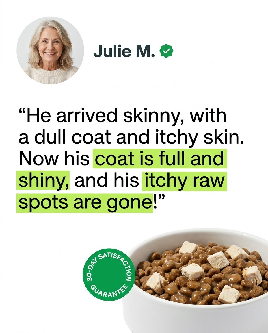 Alex Cooper tweet media