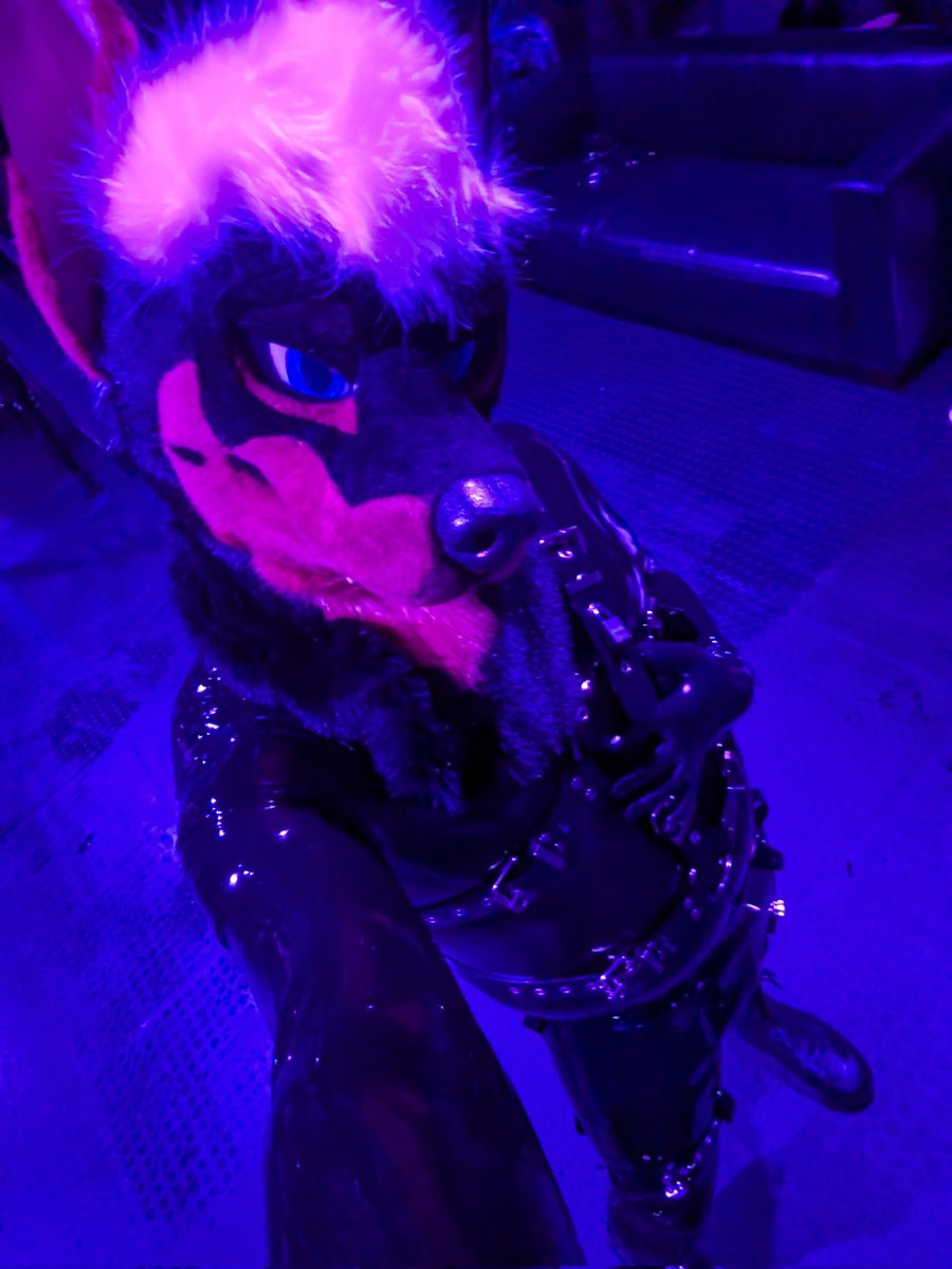 Kaspar_Doberman's tweet photo. This was a new one for me 😈 https://t.co/hslTj9savB
