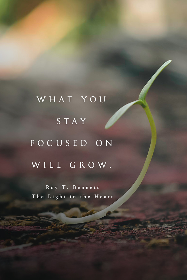 InspiringThinkn's tweet photo. What you stay focused on will grow.
Roy T. Bennett, The Light in the Heart https://t.co/HgdTIhqeY0